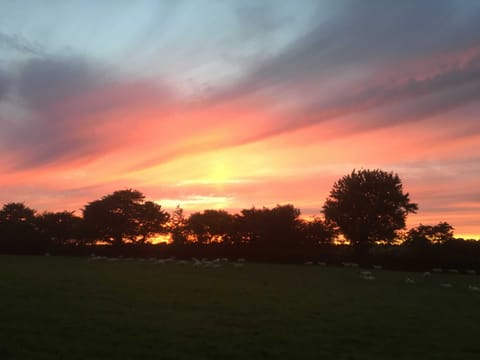 The Farm - Lovely sunsets