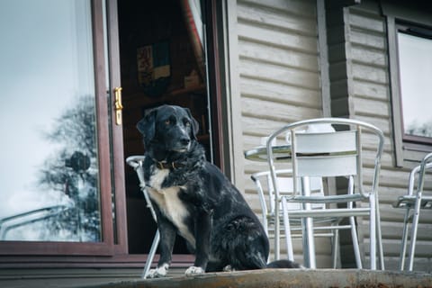 Private Patio for cabin