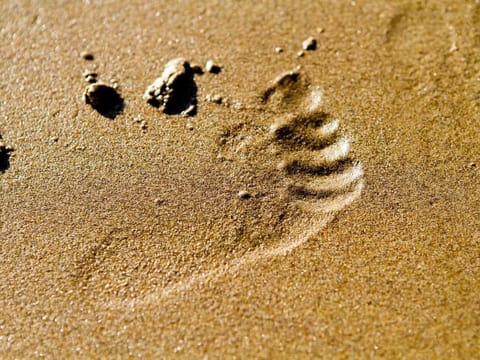 Some time out on the beach