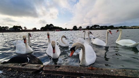 Marine Lake - 0.6 miles away