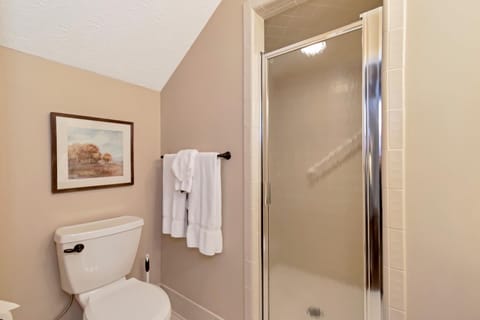 Combined shower/tub, jetted tub, hair dryer, towels