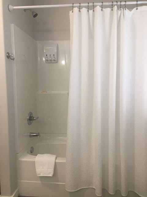 Combined shower/tub, hair dryer, towels, soap