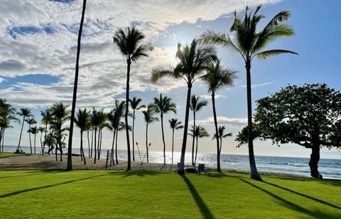 Beach nearby, sun loungers, beach towels