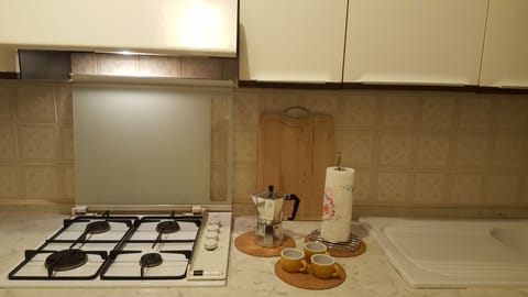 Fridge, oven, stovetop, electric kettle