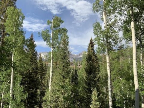 Summertime view from balcony