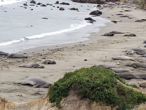 Beach nearby