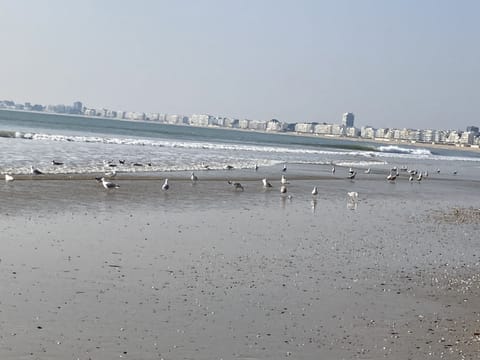 On the beach