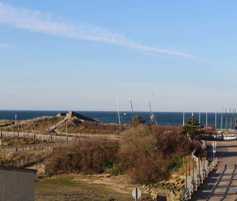 Beach/ocean view