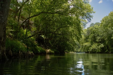 View of the cabin from the river!