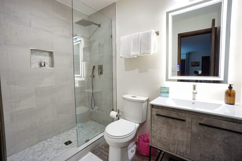 Combined shower/tub, hair dryer, towels, soap