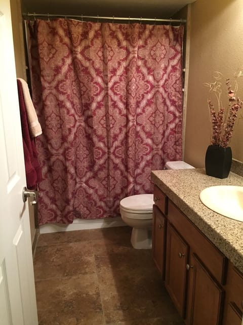 Combined shower/tub, hair dryer, towels, soap