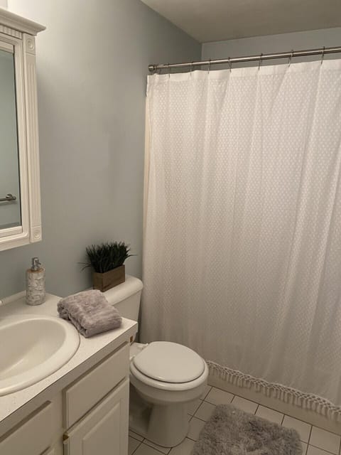 Combined shower/tub, towels