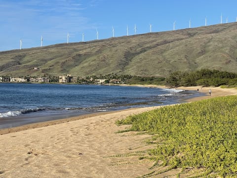 On the beach, sun loungers, beach towels