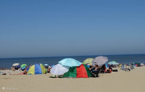 On the beach