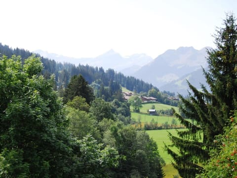 Sky, Mountain, Plant, Natural Landscape, Tree, Highland, Larch, Evergreen, Forest, Valley