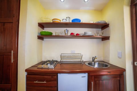 Fridge, cookware/dishes/utensils