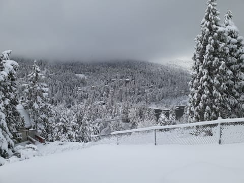 The side lot, will be building the security fence for kids for sledding.