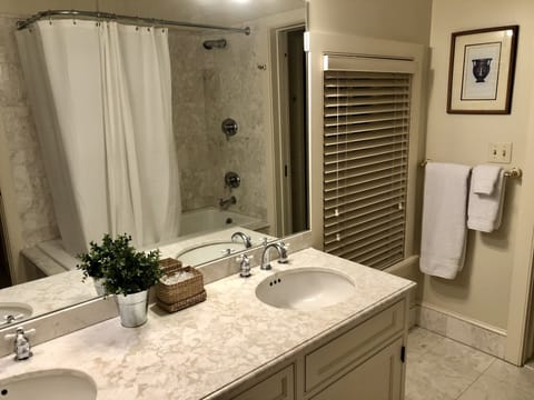 Combined shower/tub, hair dryer, towels, soap