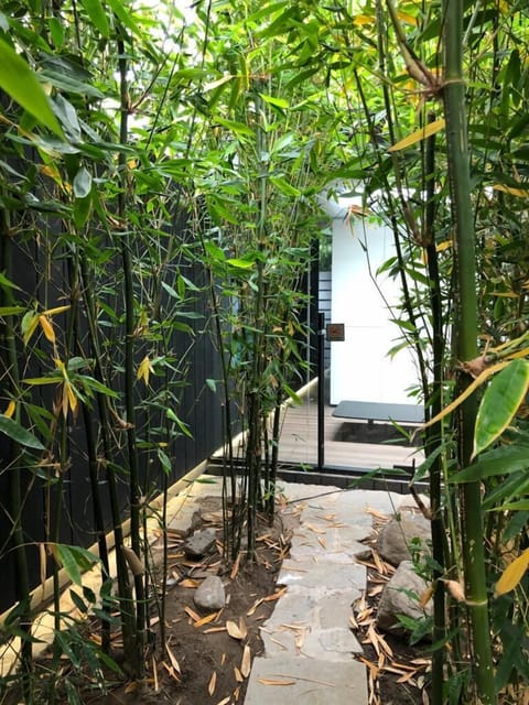 approaching the garden house through the bamboo forrest
