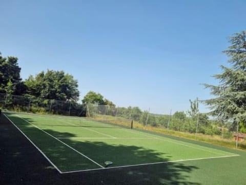 Sport court