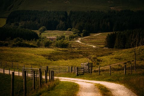 Private road leads to The Lakehouse