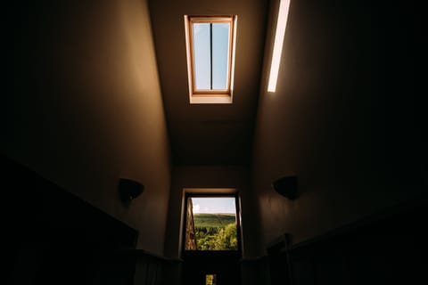 Front door & skylight