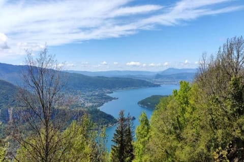 Region [summer] (&gt;5 km)