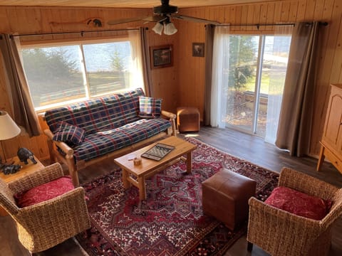 TV, fireplace, books