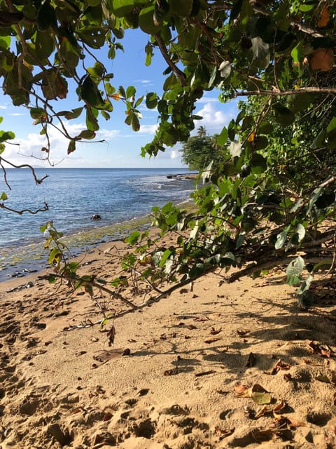 Beach nearby, sun loungers, beach towels