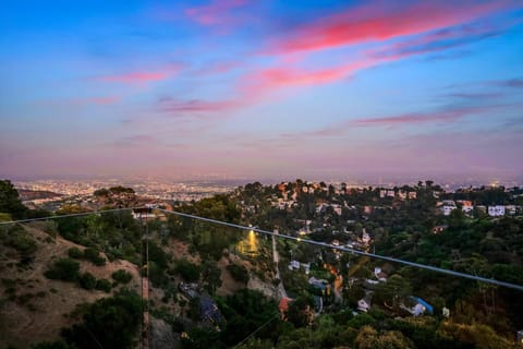 Skyline View of Downtown LA