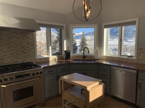 Kitchen and view of Mt. Crested Butte