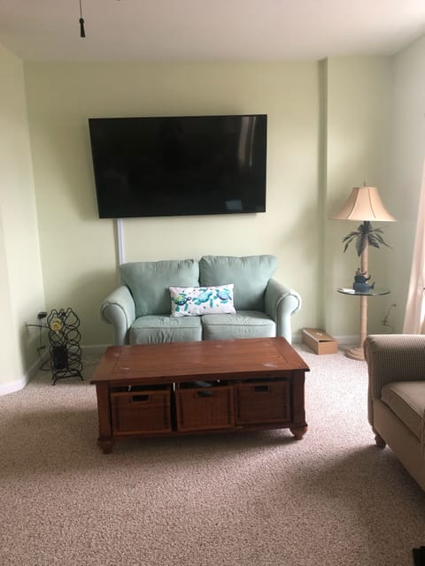 Tv and sleeper couch in living room