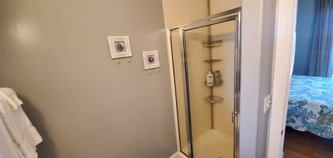 Combined shower/tub, hair dryer, towels, soap