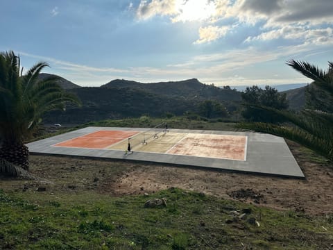 Sport court