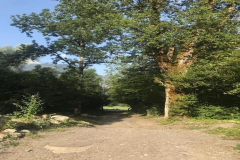 Region [summer] (&gt;5 km)