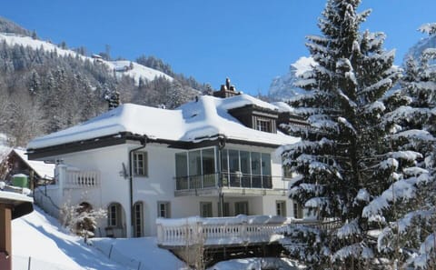 View of house and winter garden looking north