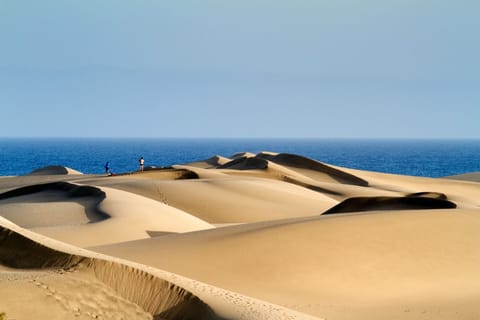 Beach/ocean view