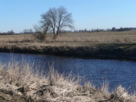 Area that directly surrounds the property