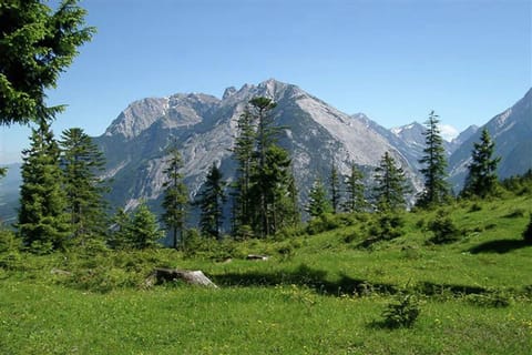 Region [summer] (&gt;5 km)