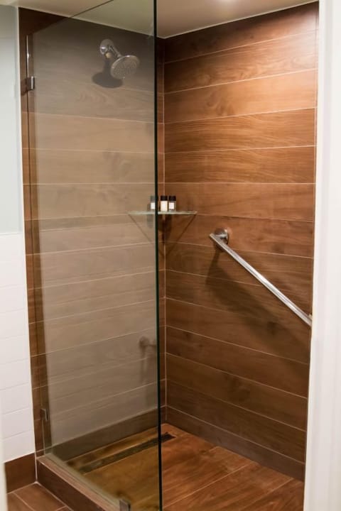 Combined shower/tub, hair dryer, towels