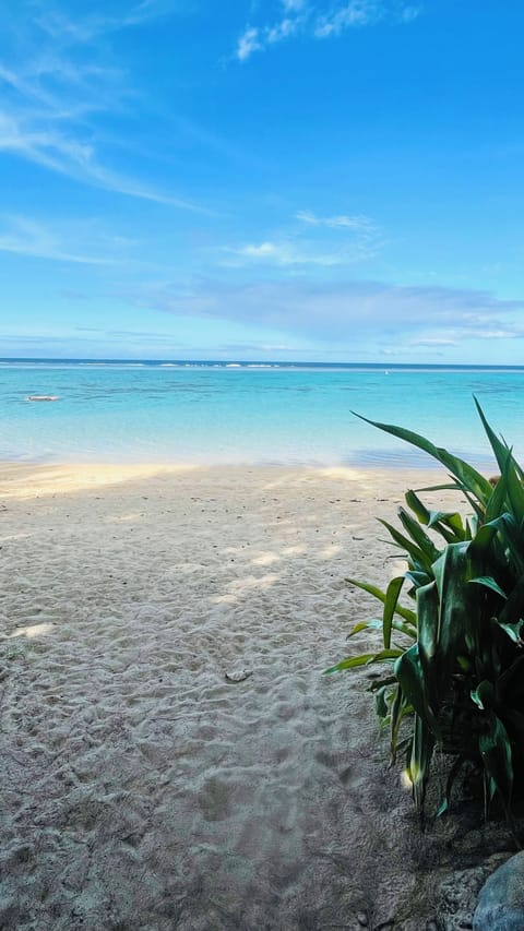 Beach nearby, beach towels