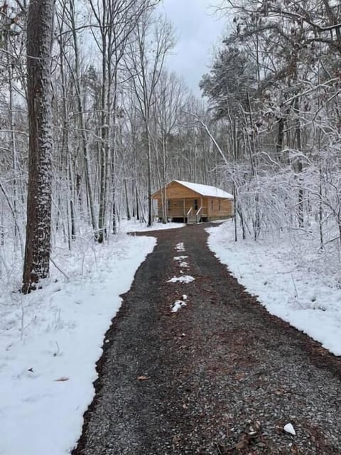 Cabins in the Snow