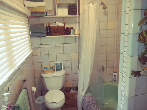 Combined shower/tub, hair dryer, towels, soap