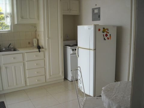 Fridge, oven, stovetop, electric kettle