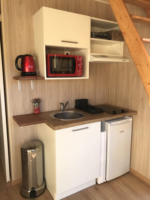 Fridge, microwave, stovetop, coffee/tea maker