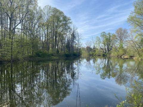 Pond 2 is known for catching catfish