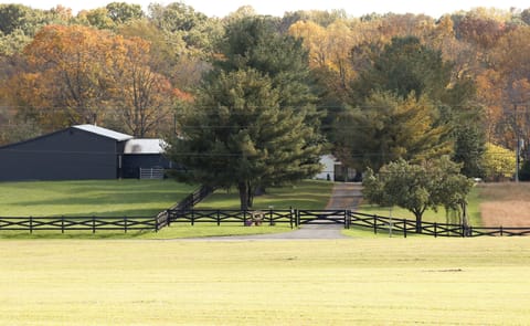 Donkeytown view from road 
