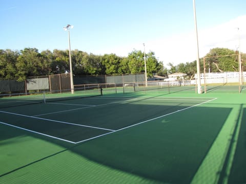 Sport court