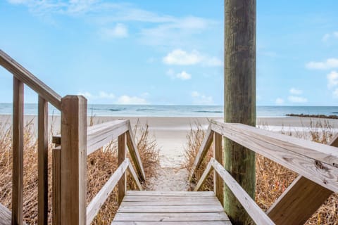 On the beach