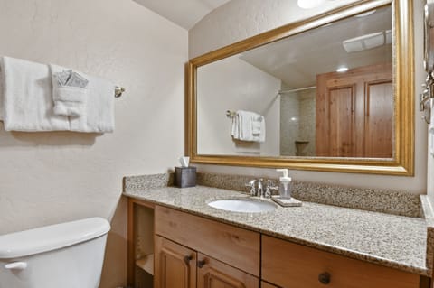 Combined shower/tub, hair dryer, towels